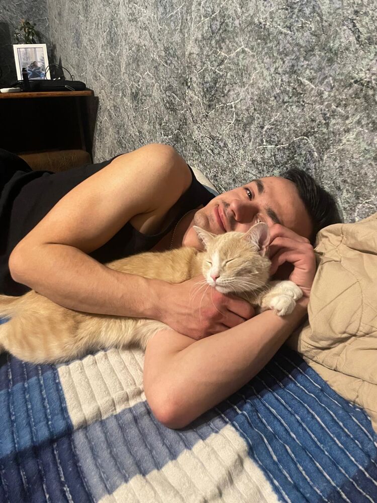 ���������� �������, ���� ������� ������, 27 ���, ������������ ��� c�������� ���������, ���������