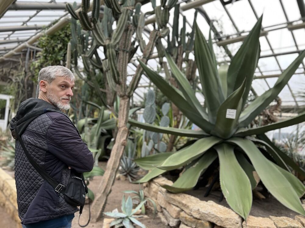 ���� 55003895 ������� ������, 45 ���, ���� ���������� � ������