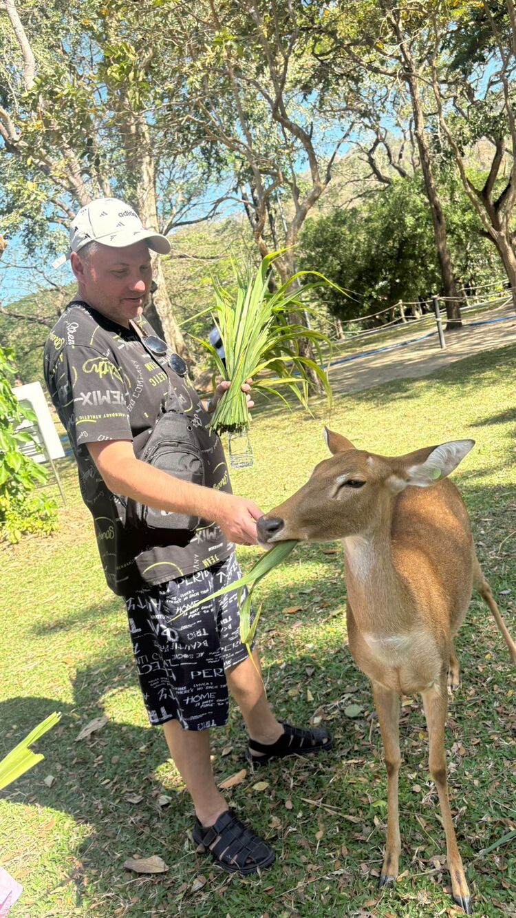 ���������� ����������, ���� ������� ���������, 46 ���, ������������ ��� ������, ����� � ���������