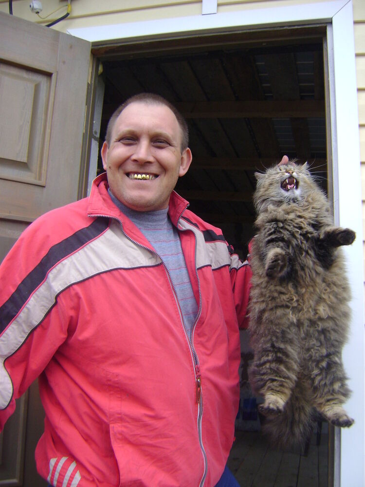 ���� 5278175 ������� �����, 51 ���, ���� ���������� � �����-����������