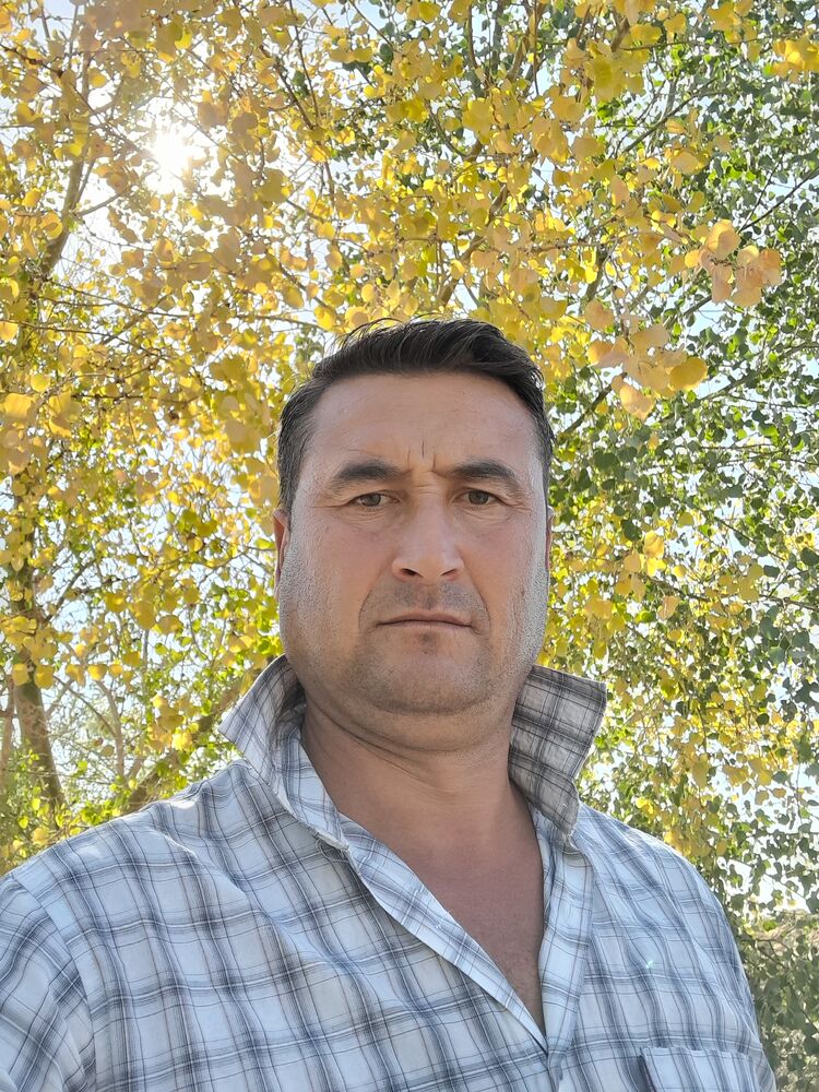   ,   , 41 ,   c 