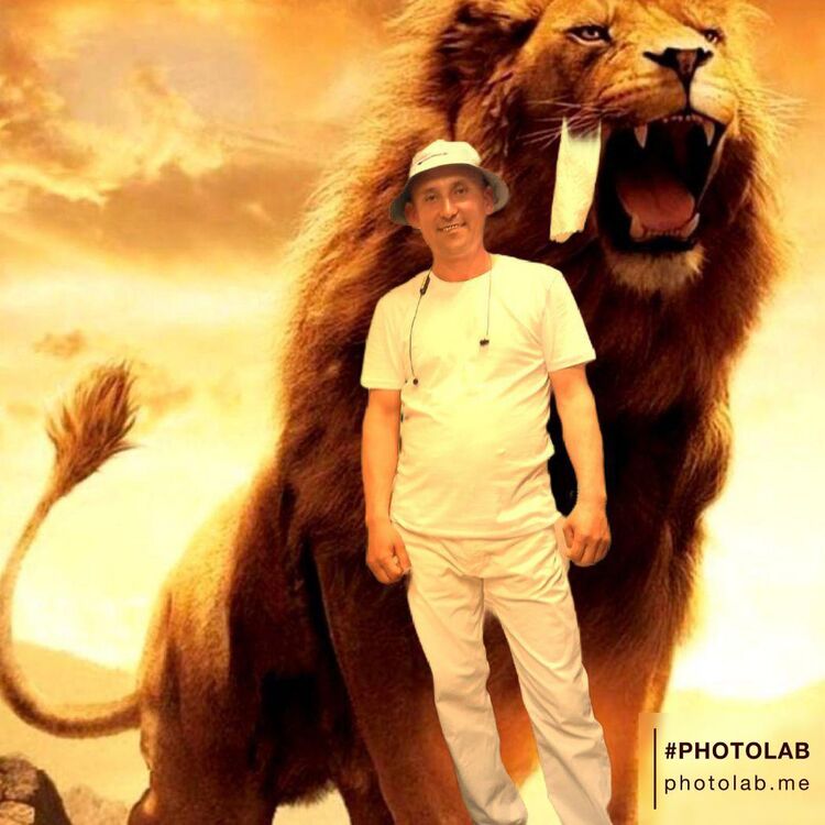 ���� 51003385 ������� �����, 46 ���, ���� ���������� � ������