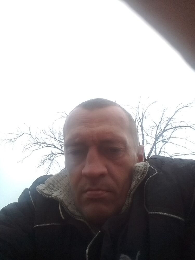  33419115  , 41 ,    