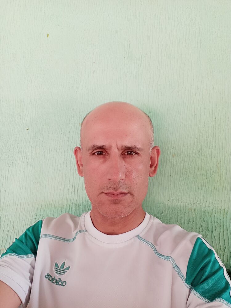  43553935  , 47 ,    -