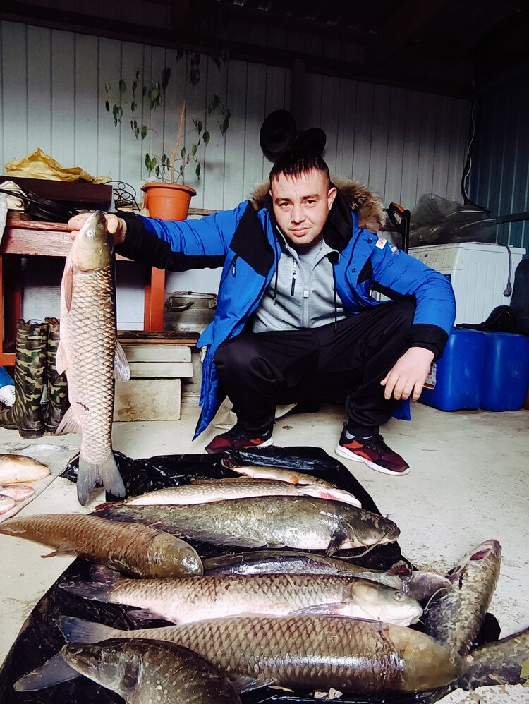 ���������� �����������, ���� ������� ������, 37 ���, ������������ ��� ������, ����� � ���������