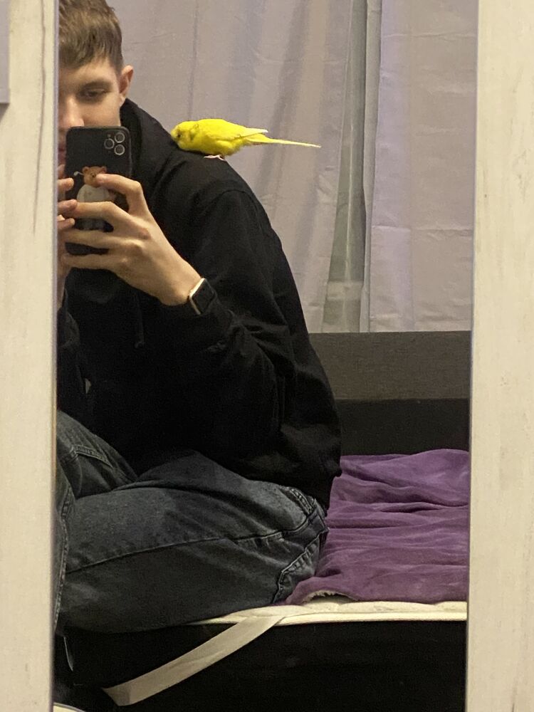 ���������� ������, ���� ����� ������, 23 ����, ������������ ��� ����� � ���������, c�������� ���������, ���������