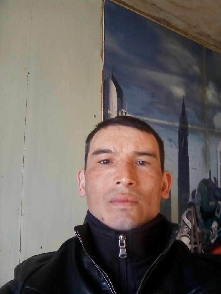  49882965  , 43 ,    -