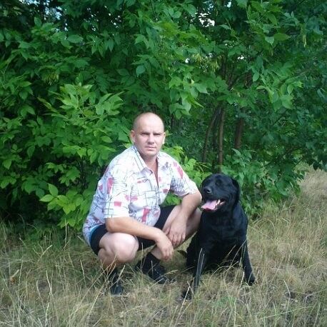 ���� 16196325 ������� ����, 50 ���, ���� ���������� � �������