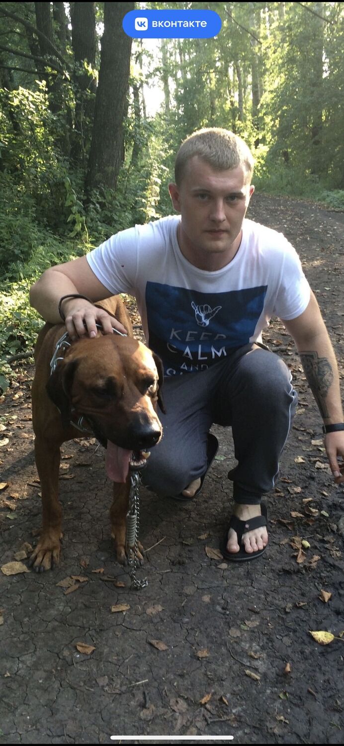 ���� 33885315 ������� ������, 30 ���, ���� ���������� � ���������