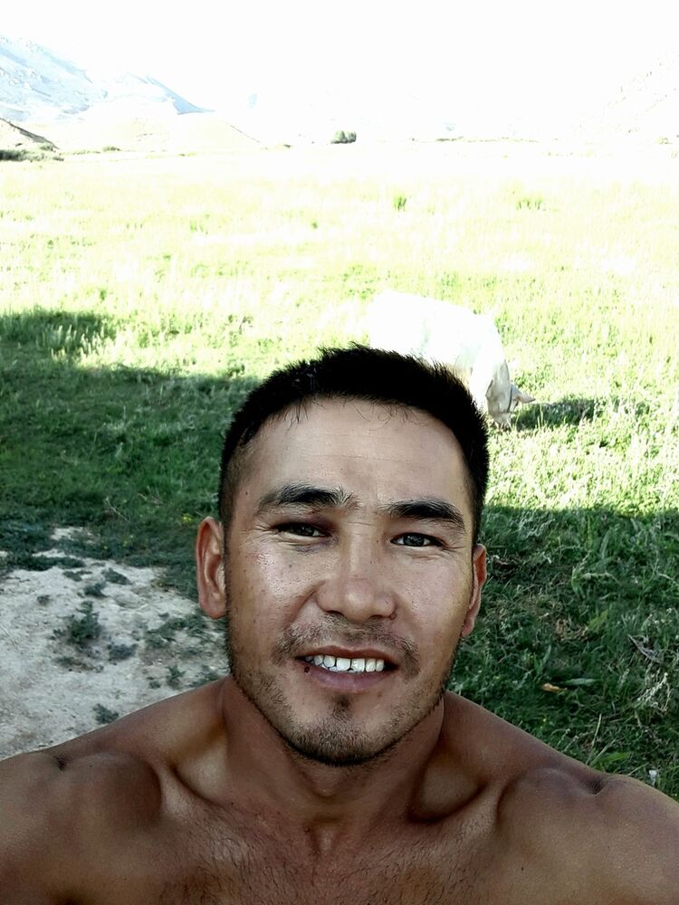 ���������� ������, ���� ������� �����, 36 ���, ������������ ��� ������, ����� � ���������, c�������� ���������