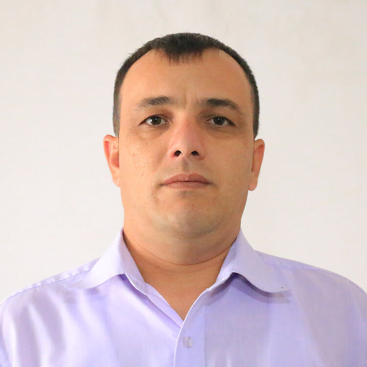  38538075  , 38 ,    -