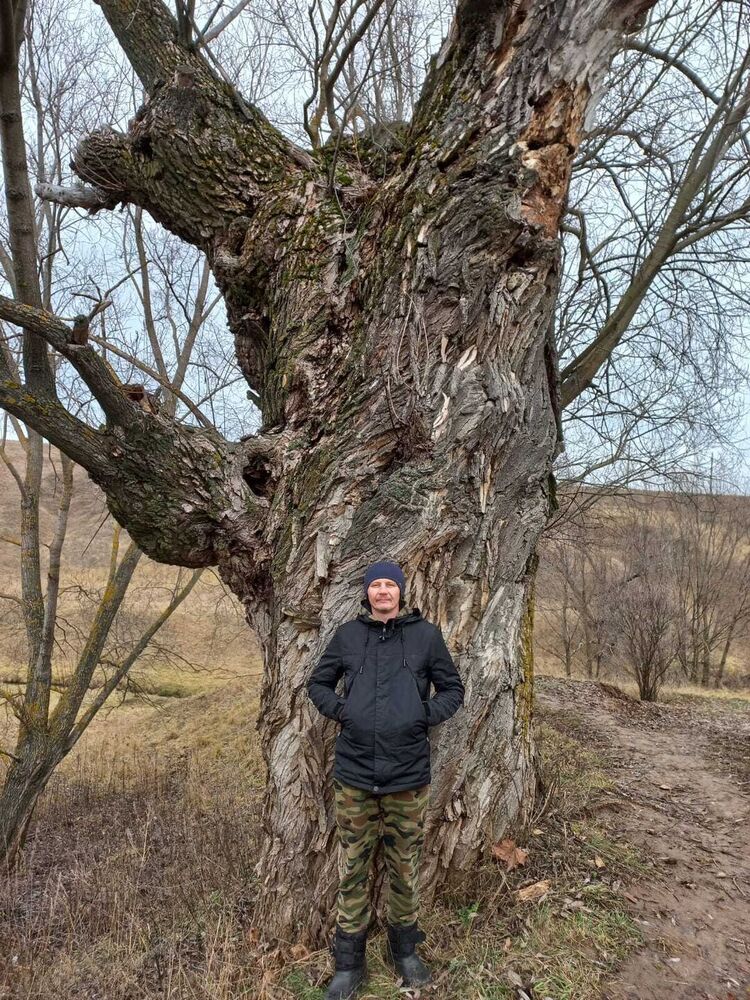 ���������� ������������, ���� ������� ����, 44 ����, ������������ ��� ����� � ���������, c�������� ���������