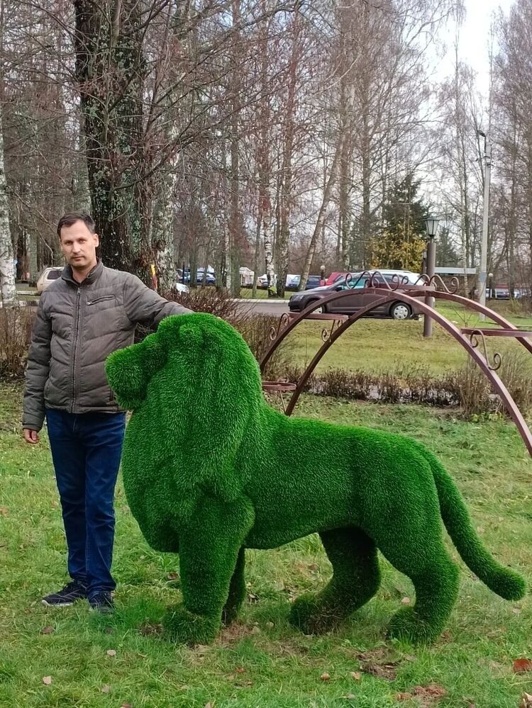 ���������� ������, ���� ������� �����, 43 ����, ������������ ��� ������, ����� � ���������