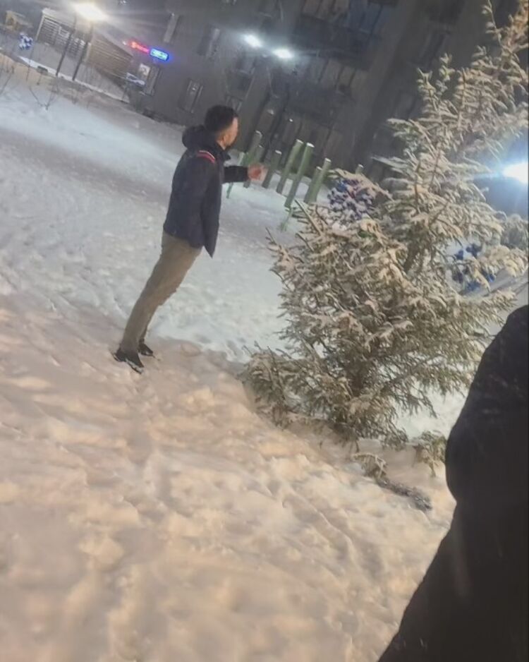 ���������� �����-���������, ���� ������� Maqsud, 29 ���, ������������ ��� ������, ����� � ���������