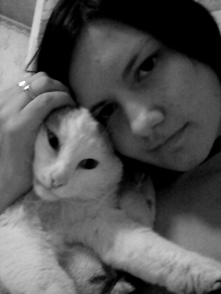 ���������� �������, ���� ������� ���������, 26 ���, ������������ ��� ����� � ���������, c�������� ���������