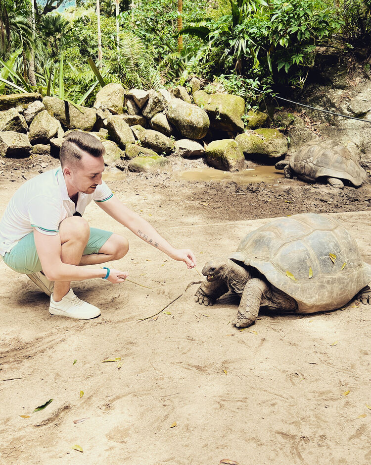 ���������� ������, ���� ������� �������, 33 ����, ������������ ��� ������, ����� � ���������, c�������� ���������