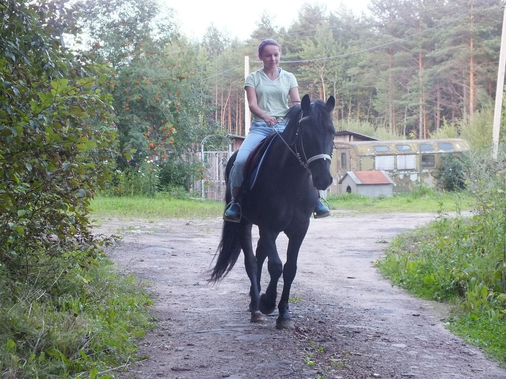 ���� 25947655 ������� ����, 21 ���, ���� ���������� � ����������