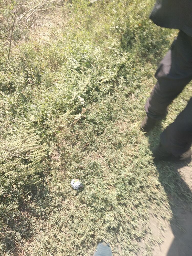 ���� 13241235 ������� �����, 41 ���, ���� ���������� � �������