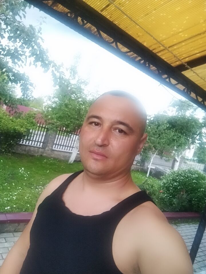  44213075  , 37 ,    