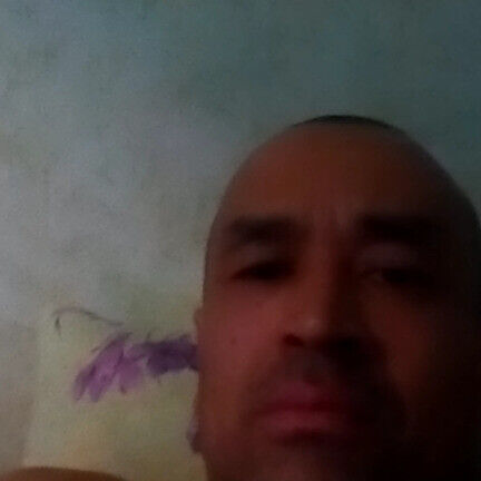 ���� 21815905 ������� �����, 44 ����, ���� ���������� � �������������