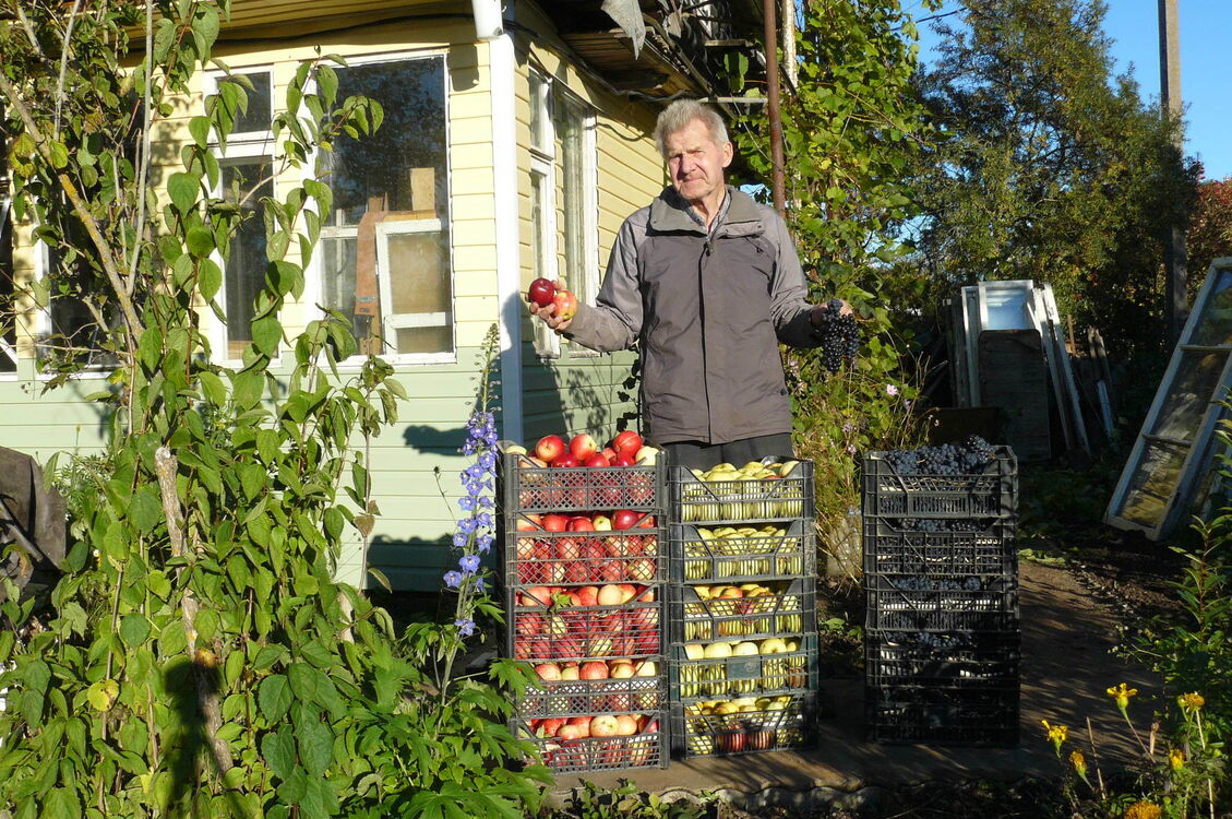 ���������� ���������, ���� ������� ������, 88 ���, ������������ ��� ����� � ���������, c�������� ���������