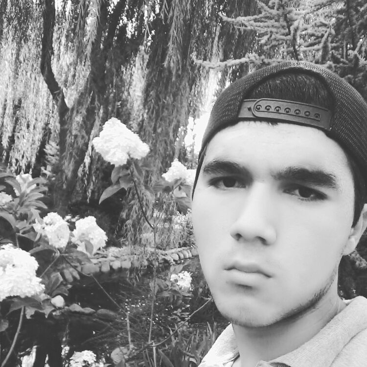 ���� 17576575 ������� ����, 27 ���, ���� ���������� � ����