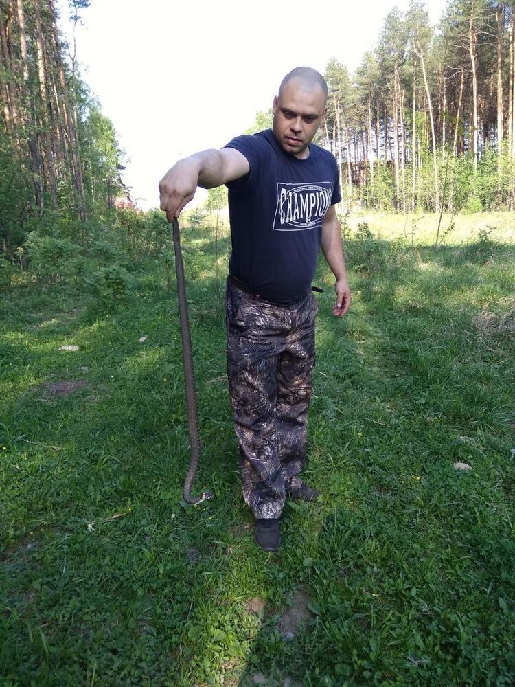 ���� 16381705 ������� ���������, 41 ���, ���� ���������� � �������