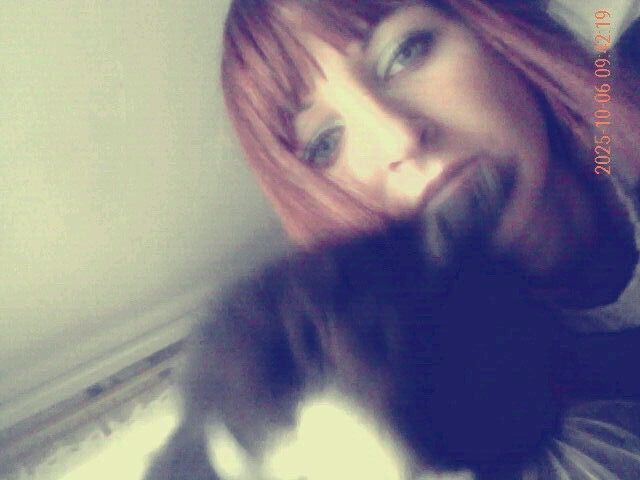 ���������� �������, ���� ������� �����, 31 ���, ������������ ��� ���������