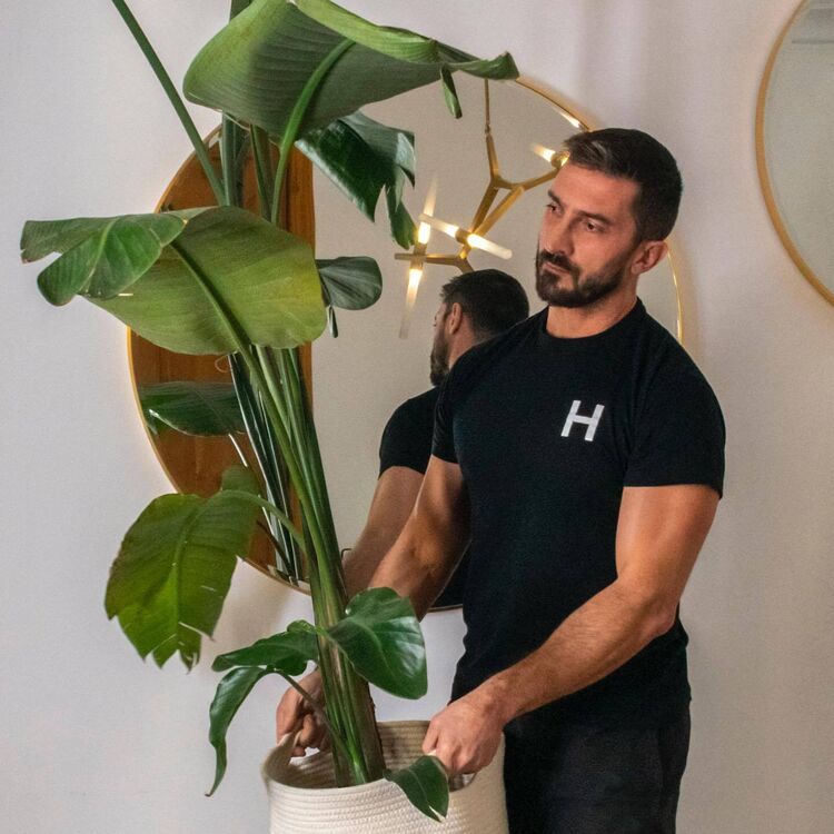 ���� 54809325 ������� ������, 44 ����, ���� ���������� � ����