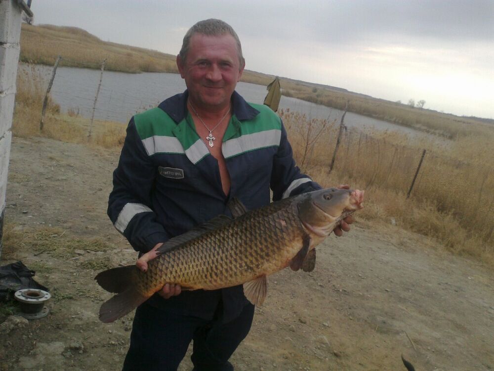 ���������� ��������, ���� ������� �����, 54 ����, ������������ ��� ������, ����� � ���������, c�������� ���������