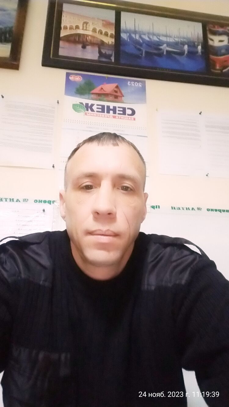  50175755  , 31 ,    --