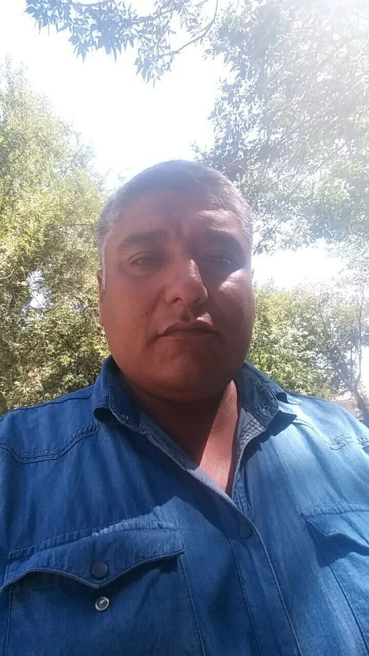  24958495  , 43 ,    