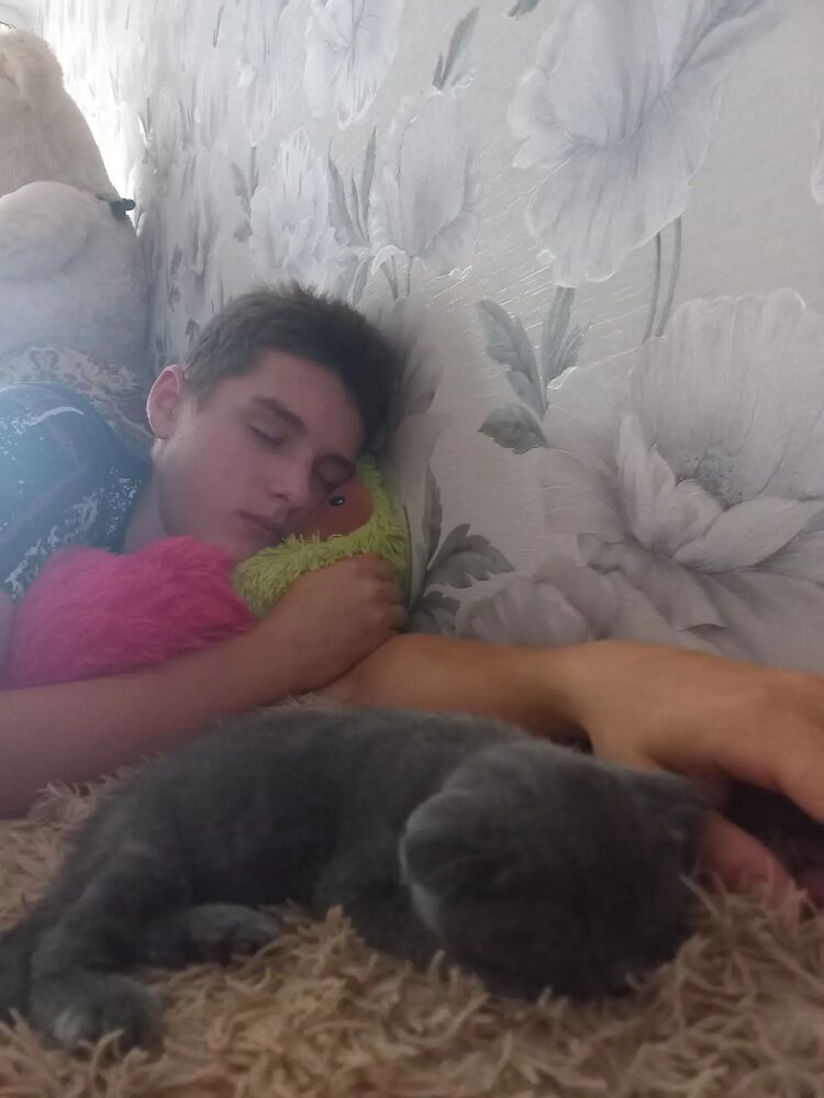 ���������� ������, ���� ����� �������, 20 ���, ������������ 