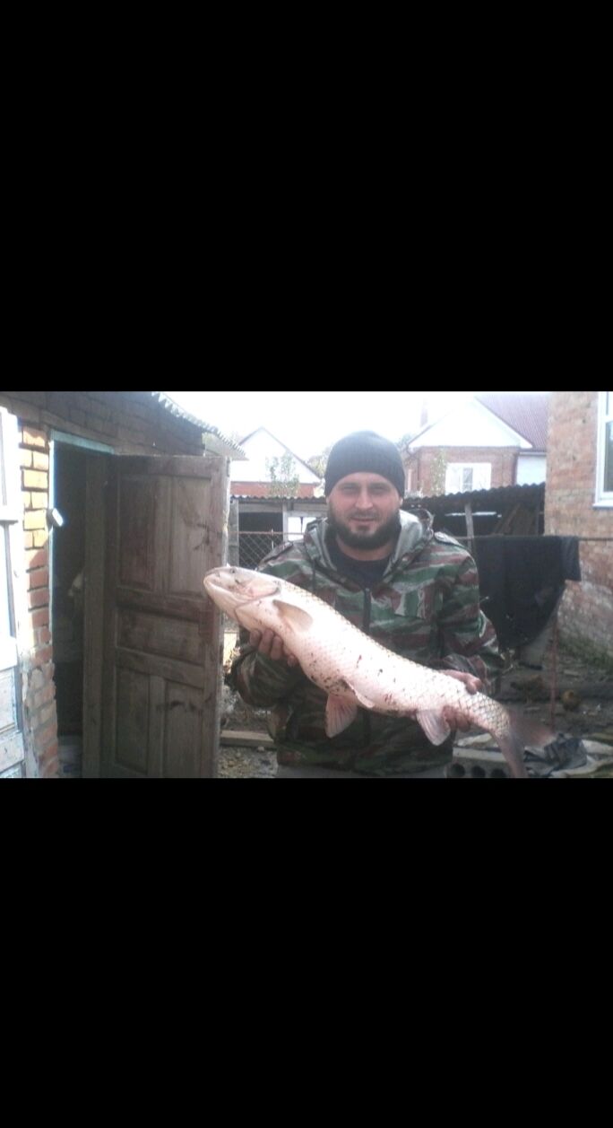 ���� 49799445 ������� �������, 42 ����, ���� ���������� � ����������