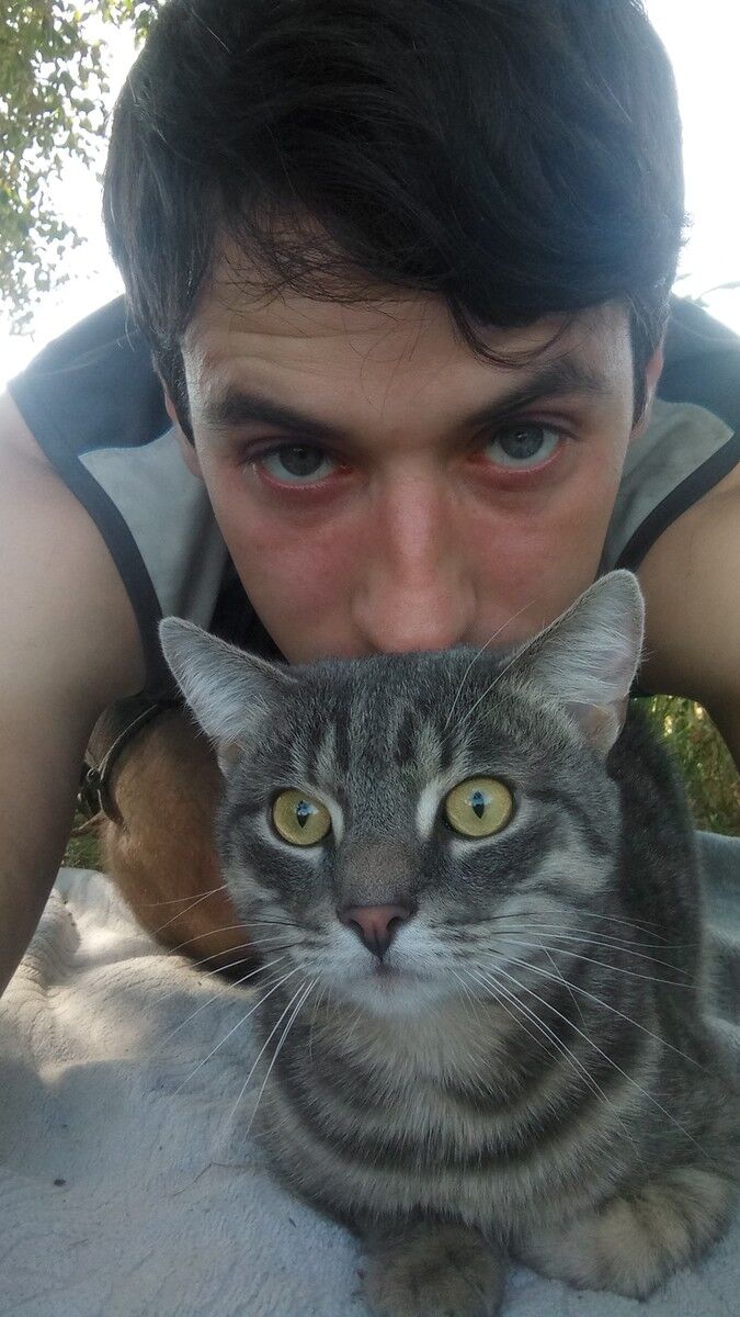 ���� 16174565 ������� ����, 33 ����, ���� ���������� � ��������