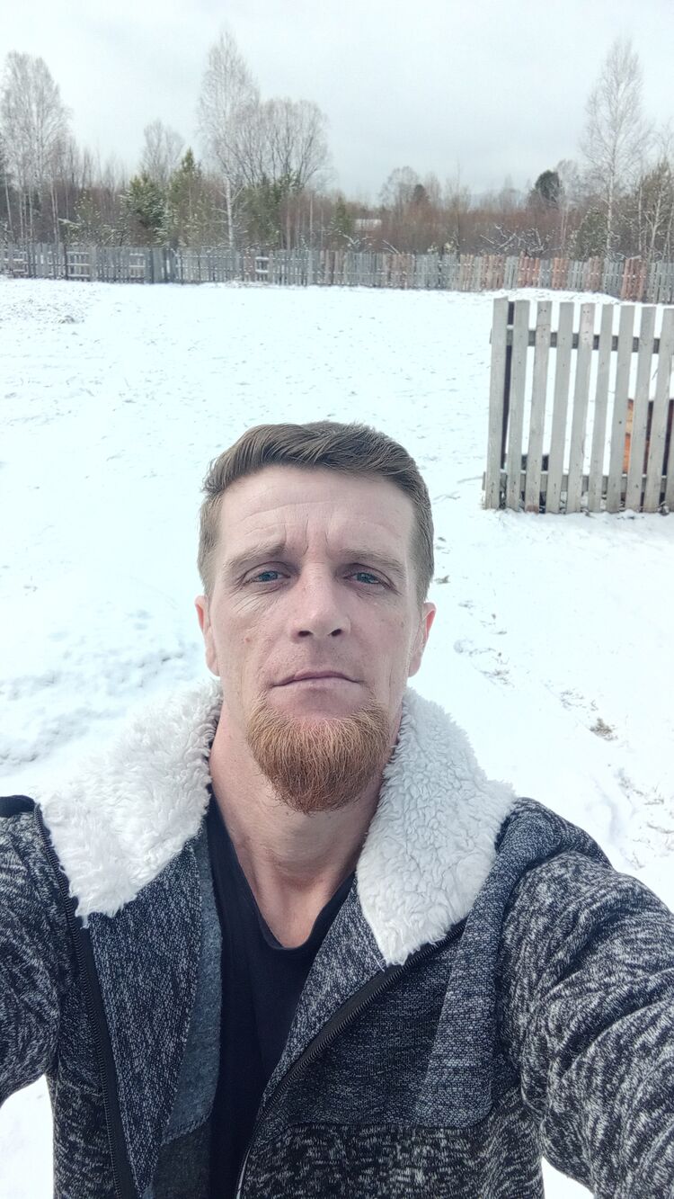  28338245  , 41 ,    