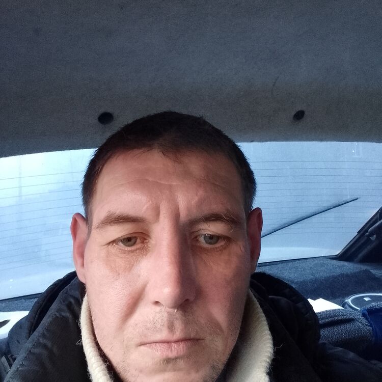 ���� 24508145 ������� ������, 40 ���, ���� ���������� � �����������