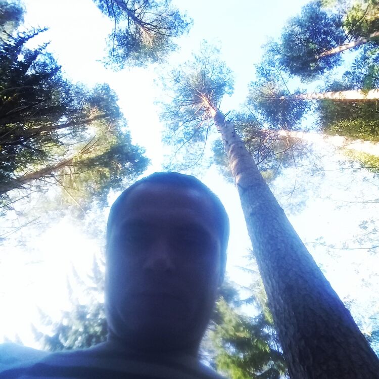  ,   Ivan, 41 ,     , c , 