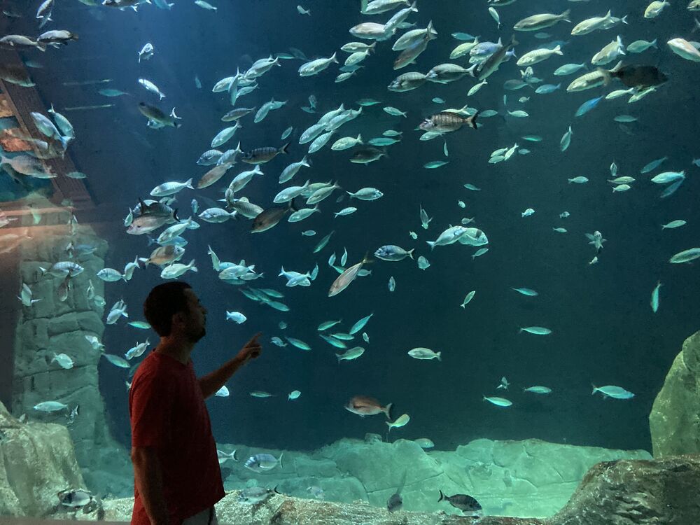 ���� 40138925 ������� �����, 37 ���, ���� ���������� � ��������