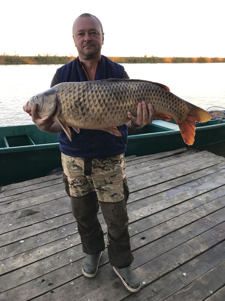 ���������� ����, ���� ������� ����, 45 ���, ������������ ��� ����� � ���������, c�������� ���������