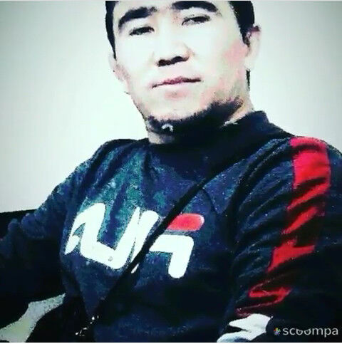  19505205  Zamir, 31 ,    