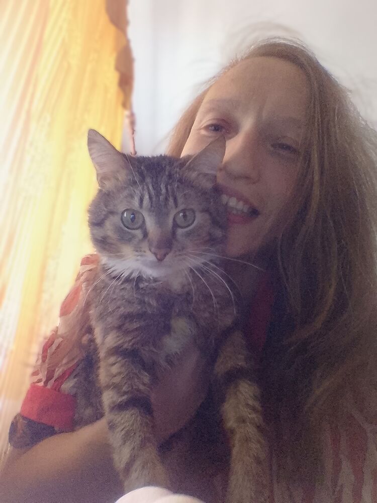 ���������� �����, ���� ������� ���������, 38 ���, ������������ ��� ������, ����� � ���������, c�������� ���������, ���������