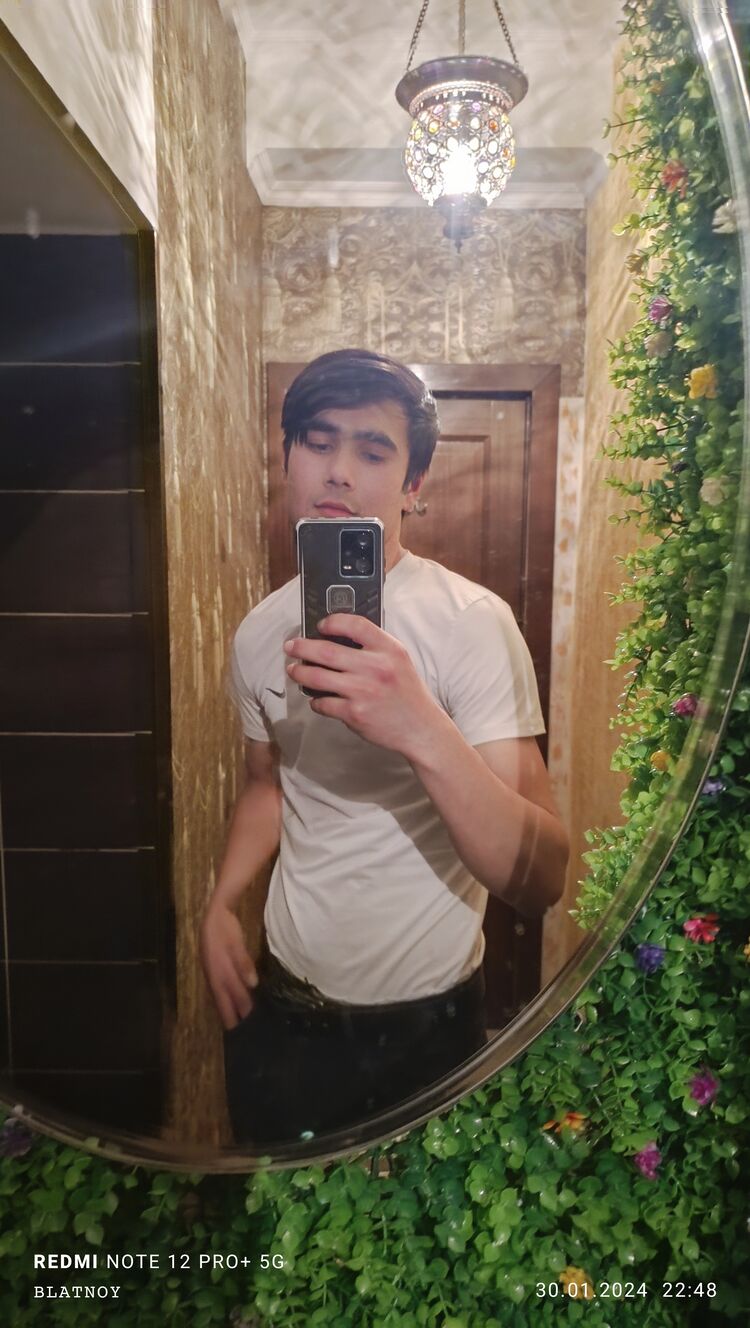  41208235  , 21 ,    