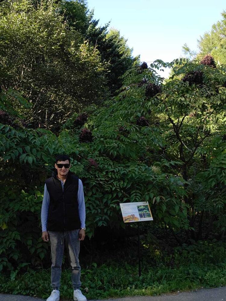 ���������� ��������, ���� ������� ������, 35 ���, ������������ ��� ������, ����� � ���������, c�������� ���������, ���������