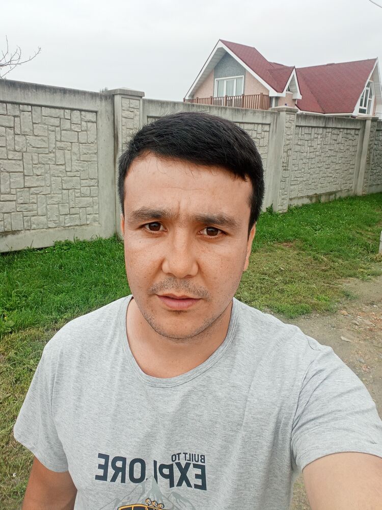  41983805  , 31 ,    