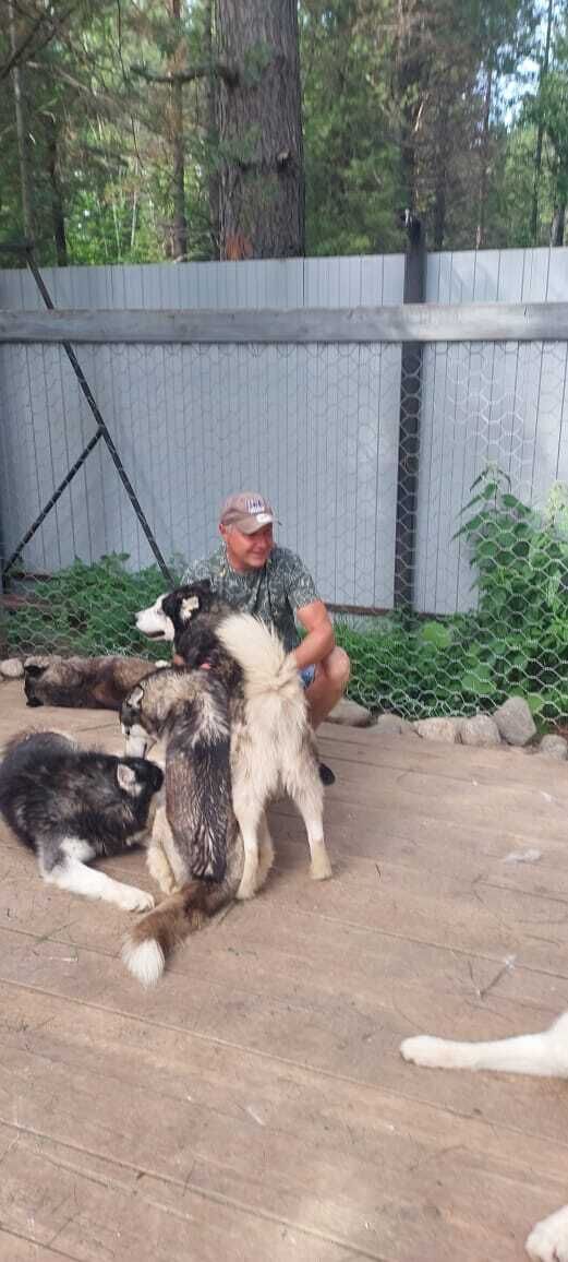 ���� 55375895 ������� ������, 45 ���, ���� ���������� � ��������