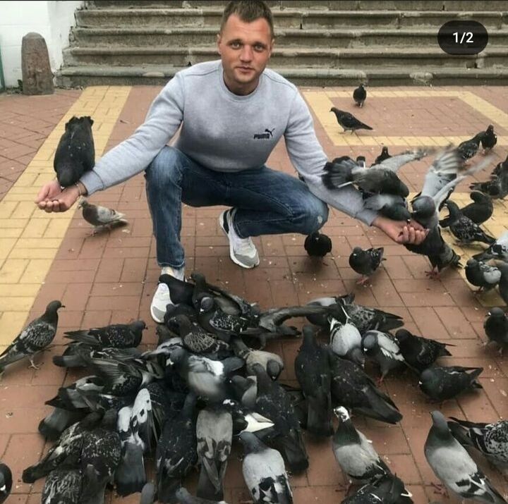  34537355  , 37 ,    