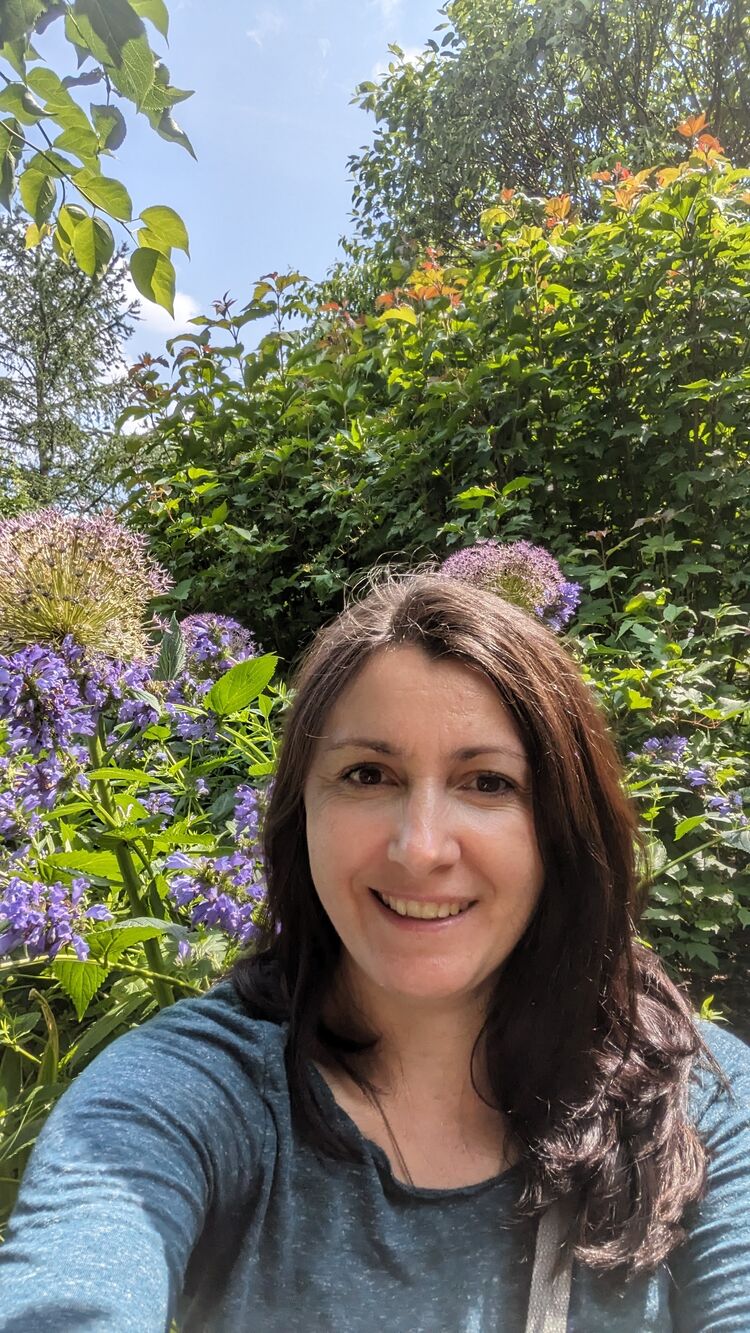 ���������� ������, ���� ������� ����, 44 ����, ������������ ��� c�������� ���������