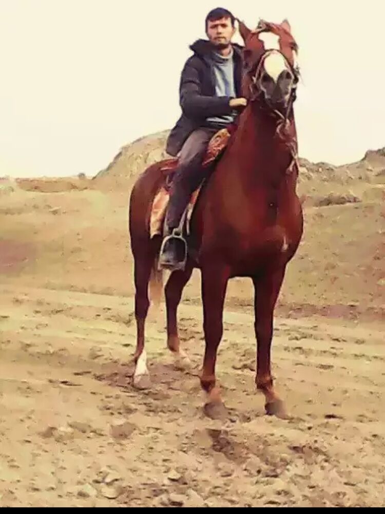  45051695  Alijon, 30 ,    