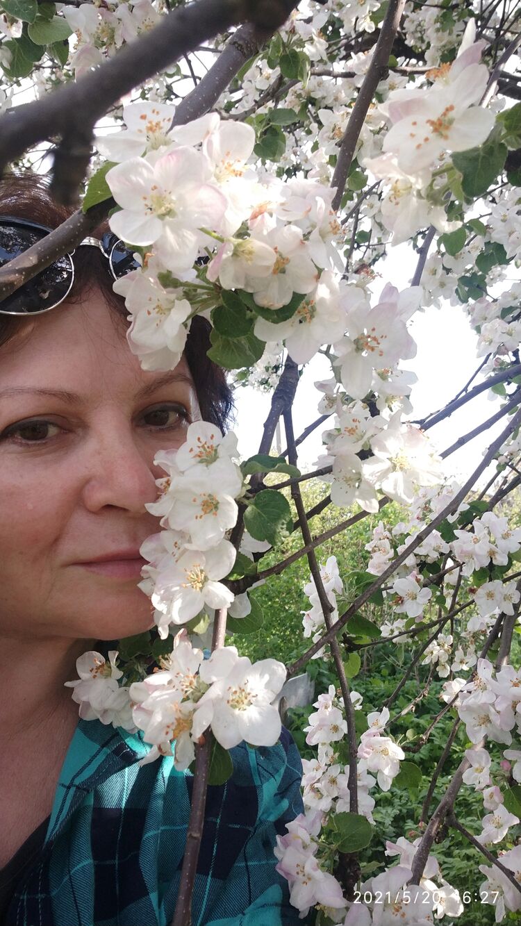 ���������� ������, ���� ������� �����, 59 ���, ������������ ��� ������, ����� � ���������